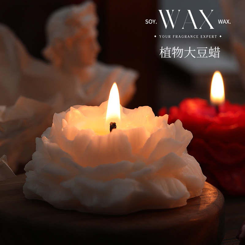 Bougies parfumées camélia, sim - Soy Wax avis et prix